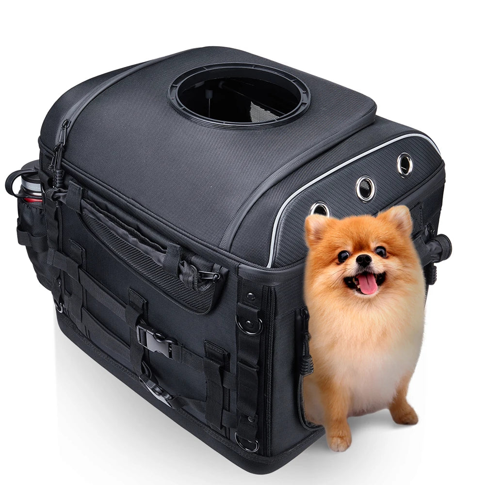 防水オックスフォード製バイク用ペットキャリーバッグ(犬猫対応リアシートバッグ)、KEMiMOTO製、かわいい犬が覗いている様子
