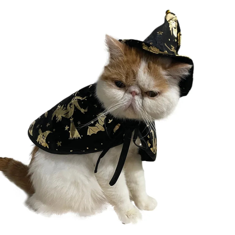 Halloween Witch & Wizard Costumes – product image 5