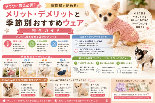 季節別の犬服を着たチワワ｜防寒・花粉・雨風対策のドッグウェアガイド