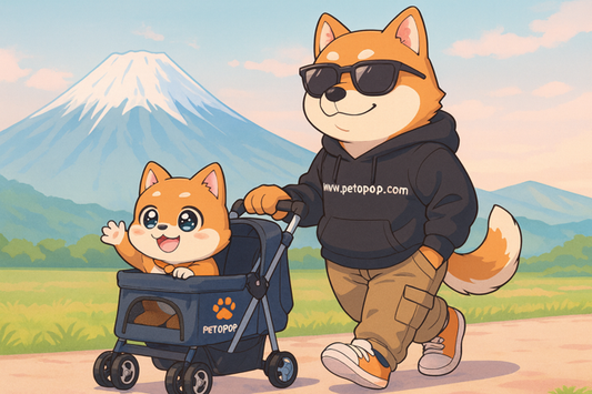 2025年の人気ペットアクセサリーランキング｜最新トレンドとPetopopおすすめ商品