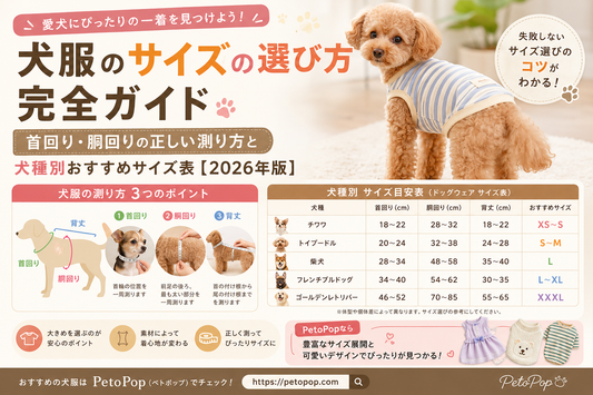 犬服のサイズ選び完全ガイドのインフォグラフィック。ボーダー柄の犬服を着たトイプードルと、首回り・胴回り・背丈の測り方を解説した図、チワワ・トイプードル・柴犬・フレンチブルドッグ・ゴールデンレトリバーのサイズ表を掲載した日本語デザインバナー。