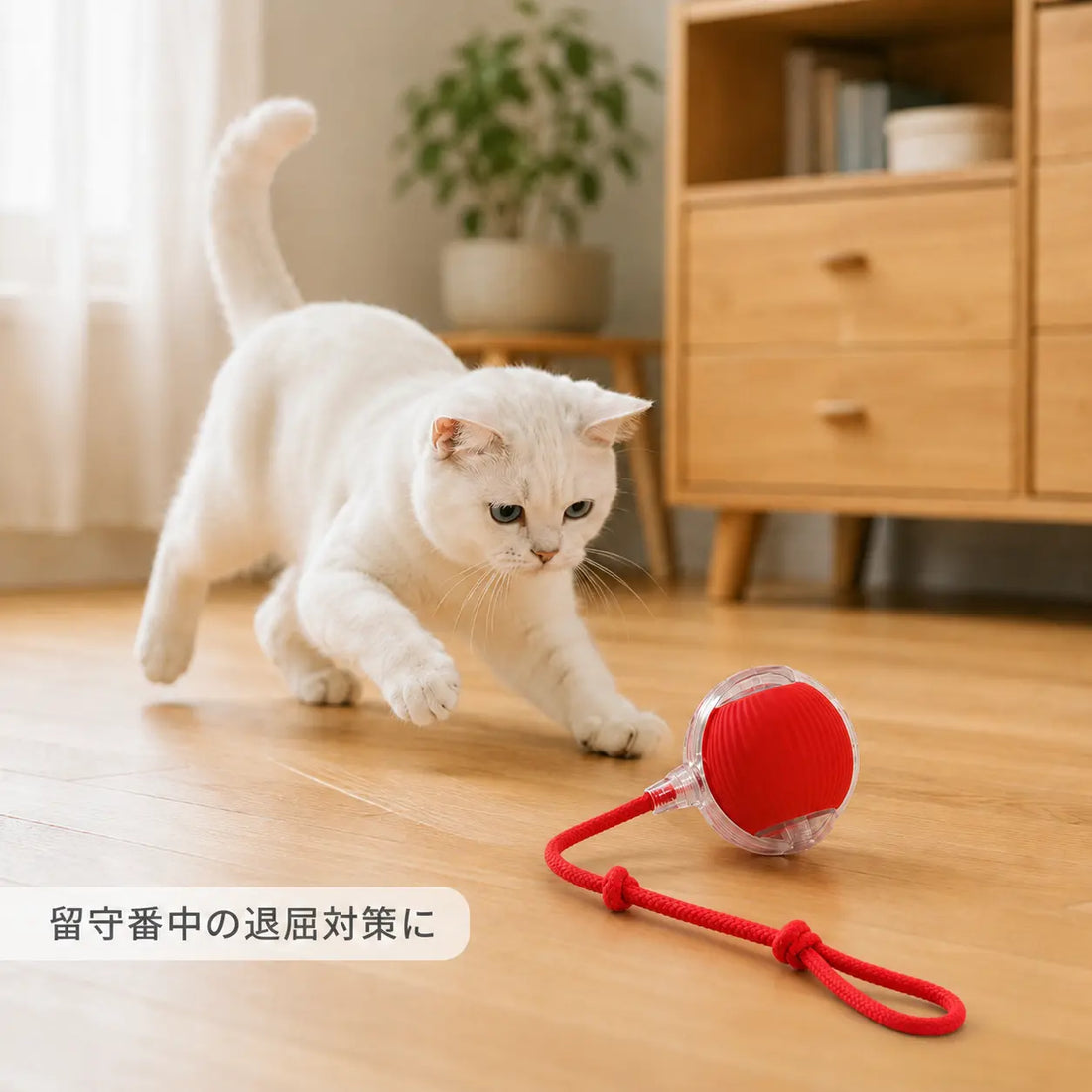 犬の室内遊びおもちゃおすすめ｜暑い日・雨の日の運動不足対策