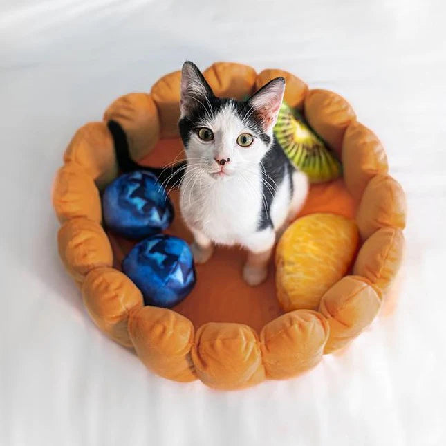 PetoPop Detachable Toast Bread Pet Bed and Plush Orthopedic Cushion