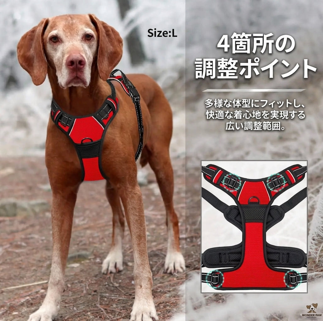 Red and black dog harness with adjustable straps and control handle by PetoPop, shown on a large brown dog in outdoor setting, featuring W-lock buckles and mesh padding.