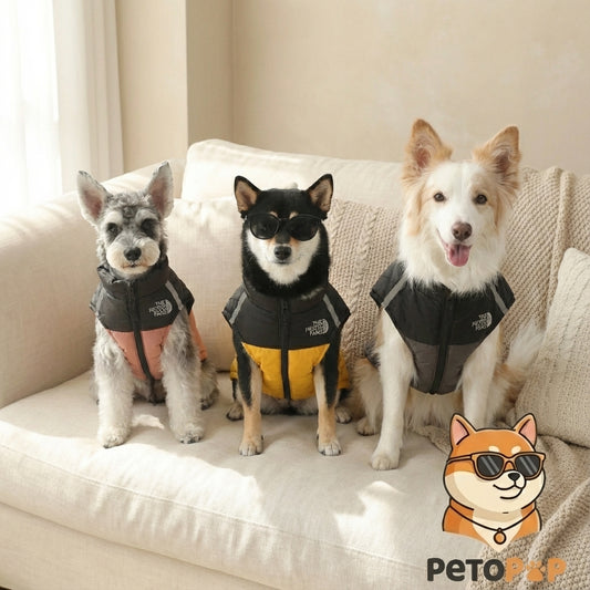 防風断熱犬用パファージャケット、Petopop製、犬3匹がソファに座っているライフスタイル写真