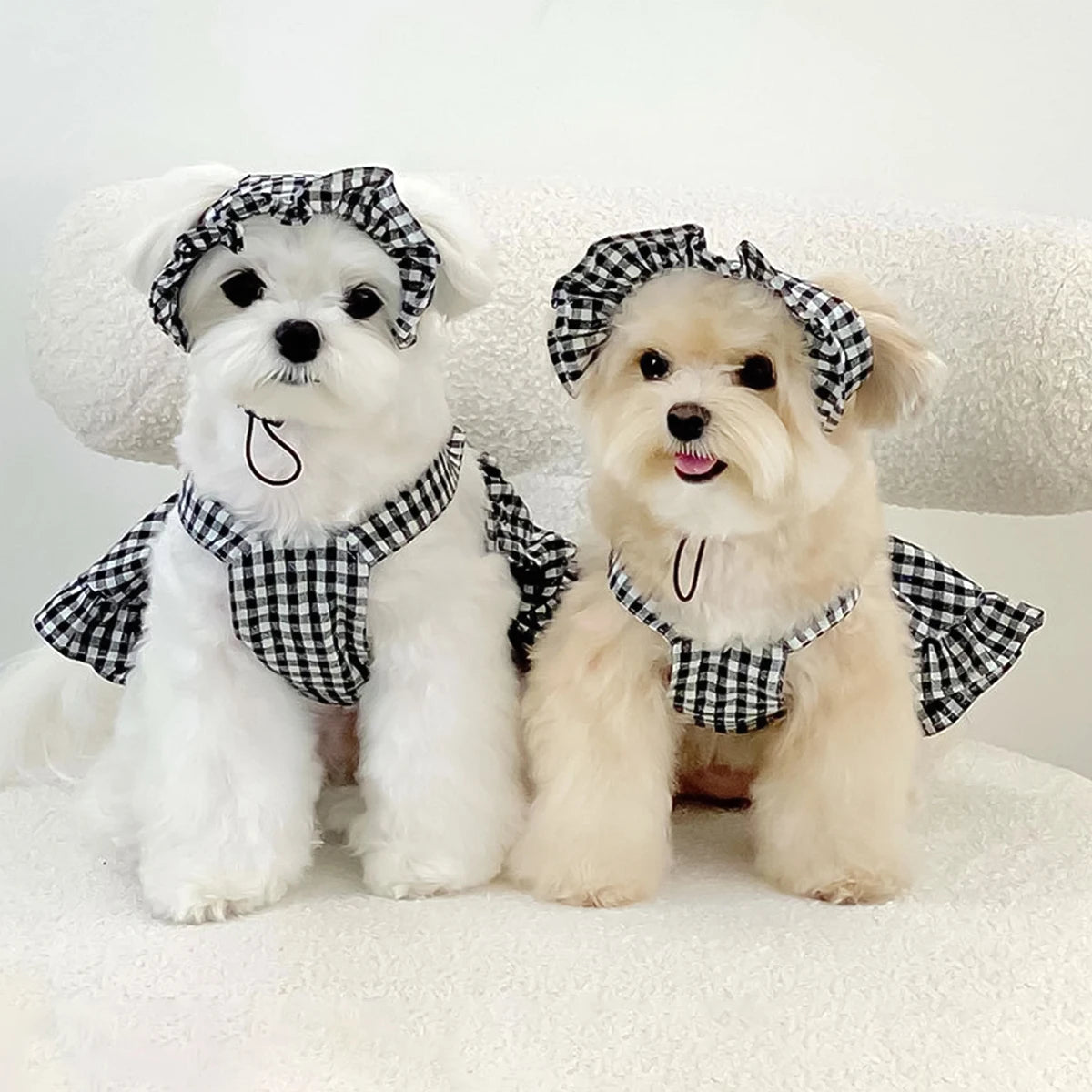 PetoPop クラシック赤チェック柄ペットワンピース・お揃い帽子セット｜犬猫用エステドレス 春夏ウェア