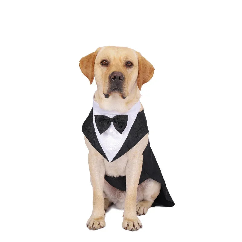 犬用フォーマルスーツ＆タキシード｜結婚式・パーティー用ドッグウェア｜小型犬〜大型犬対応シャツ＆蝶ネクタイ｜Petopop