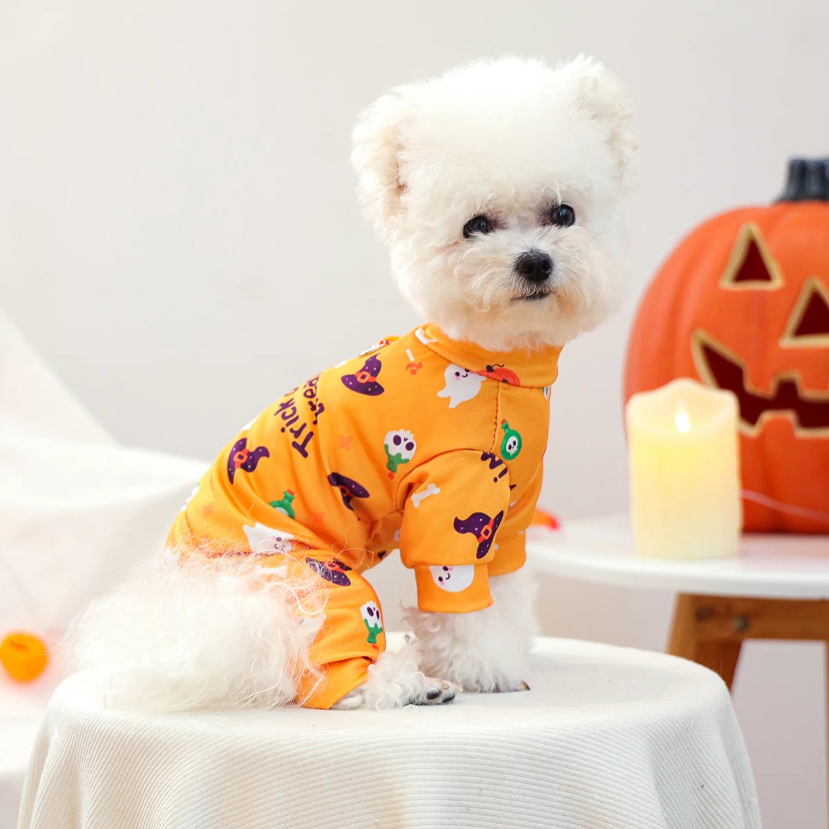 犬用ペット服｜四季通用おしゃれコスチューム｜小型犬・子犬用ハロウィン＆日常ウェア｜Petopop