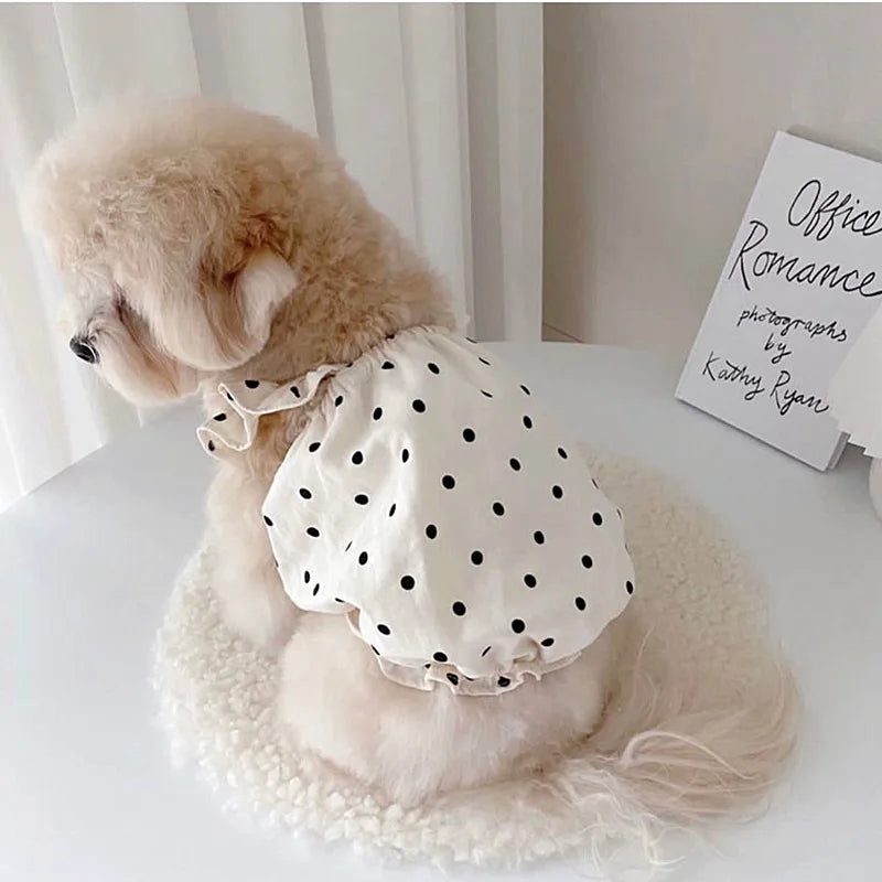 White polka-dot cotton pet dress by PetoPop, ruffled neckline, side view on fluffy dog, soft texture, summer style