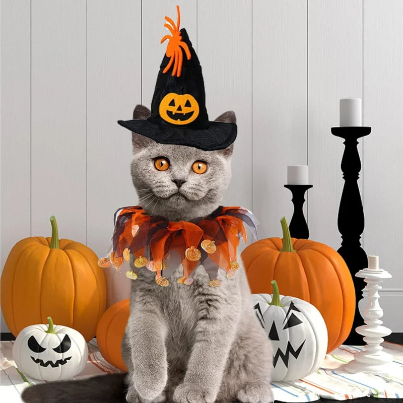 ハロウィンかぼちゃペットコスチュームセット｜犬猫用ハット＆カラー調整可能｜Petopop