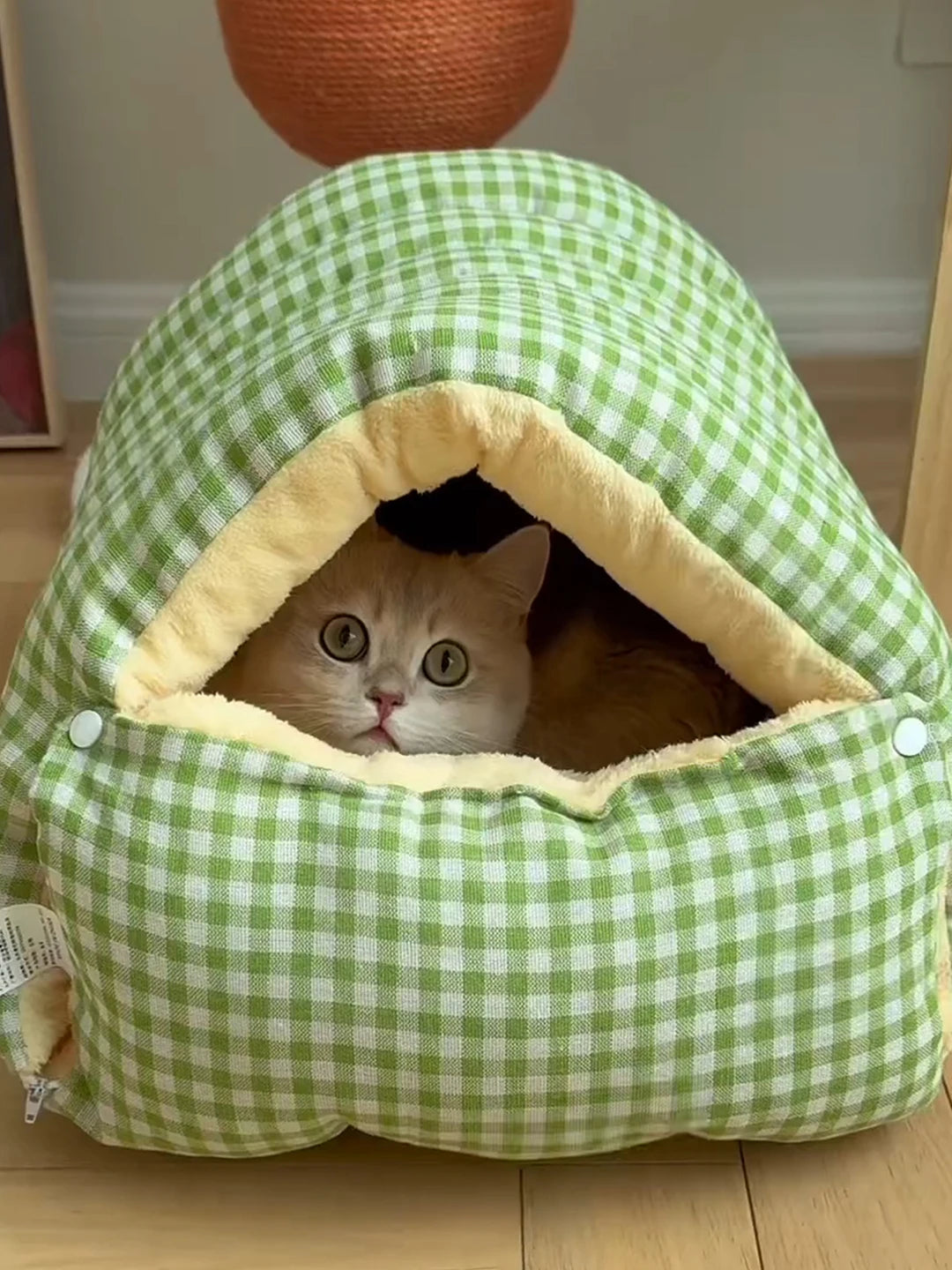 冬もぽかぽか！洗えるドーム型ペットベッド｜安心のあったか犬猫用寝袋ハウス – PetoPop