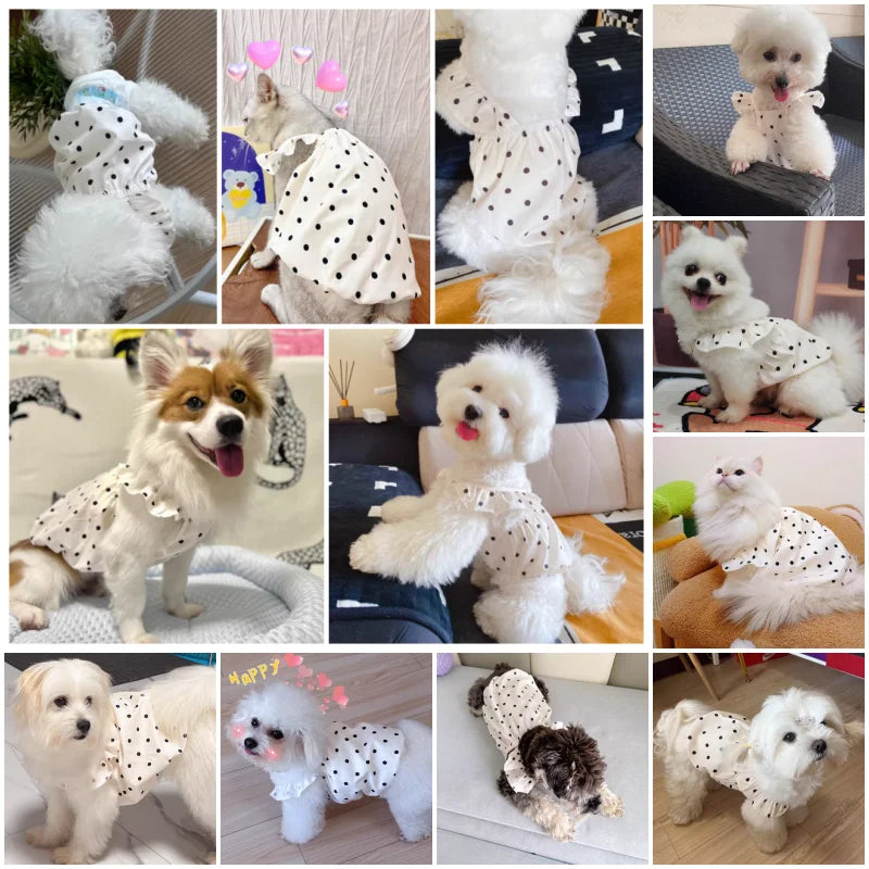 White polka-dot cotton pet dress by PetoPop, featuring ruffled hem, worn by small dogs and cats in lifestyle shots.