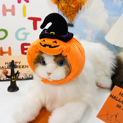 ハロウィンかぼちゃ帽子｜犬猫用コスチューム・ペット仮装｜Petopop