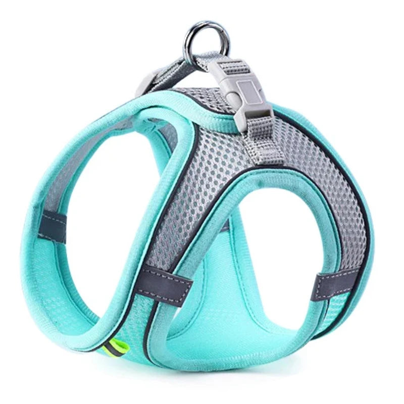 Turquoise and gray breathable dog harness with reflective mesh and adjustable straps, front view, side angle