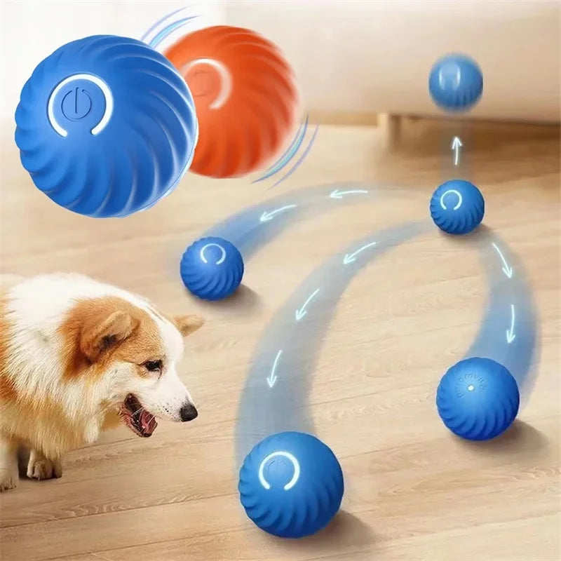 USB Rechargeable Automatic Interactive Ball for Dogs & Cats – product image 5