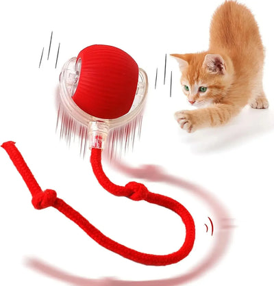 猫用スマートおもちゃ 自動転がりボール｜フェイクテイル付 インタラクティブ電動玩具｜Petopop
