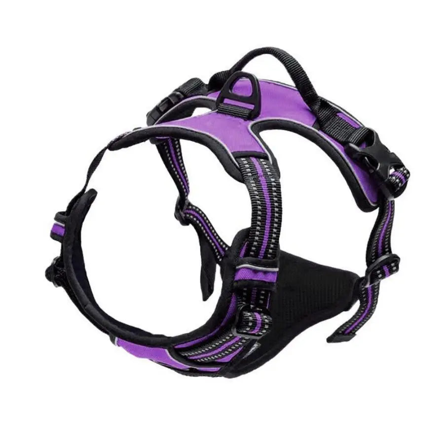 Purple and black dog harness with reflective stripes, control handle, and dual safety buckles, shown from top view