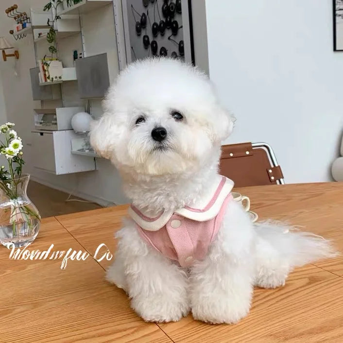 PetoPop 春夏コレクション マリンスタイル・ドッグウェア | 小型犬用 軽量ベスト