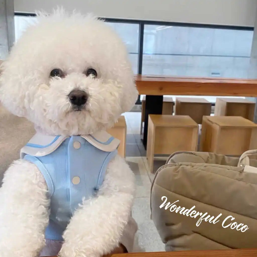 PetoPop 春夏コレクション マリンスタイル・ドッグウェア | 小型犬用 軽量ベスト