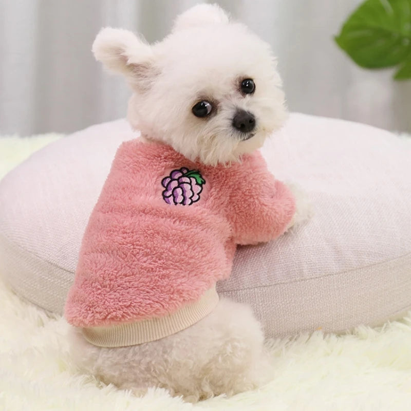 犬用服｜小型犬・子犬用あったかパーカー｜チワワ・猫対応フード付きペットウェア｜Petopop