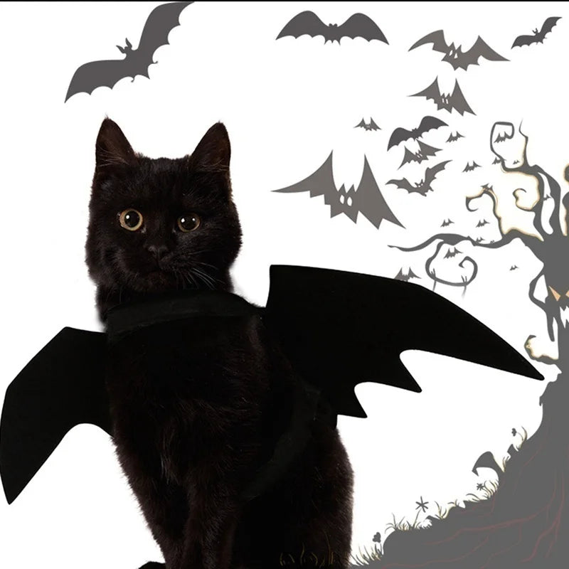 ハロウィンペット服 バットウィングコスチューム｜犬猫用ハーネス型仮装グッズ｜Petopop