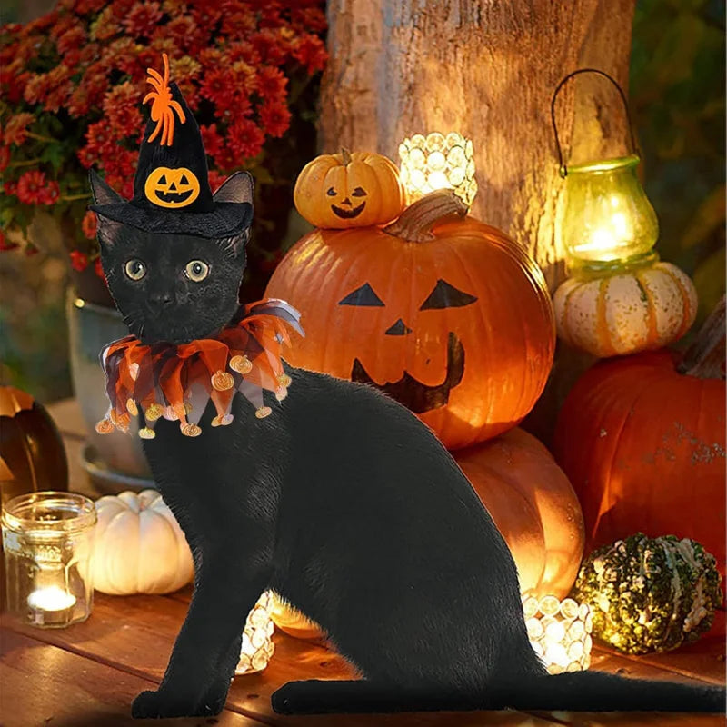 ハロウィンかぼちゃペットコスチュームセット｜犬猫用ハット＆カラー調整可能｜Petopop
