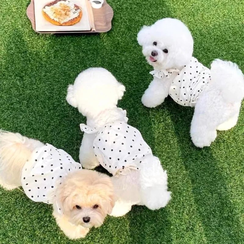 White polka-dot cotton pet dress by PetoPop, worn by small dogs on green grass, featuring bow ties and ruffled edges, lifestyle view