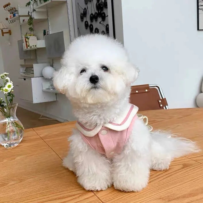 PetoPop 春夏コレクション マリンスタイル・ドッグウェア | 小型犬用 軽量ベスト