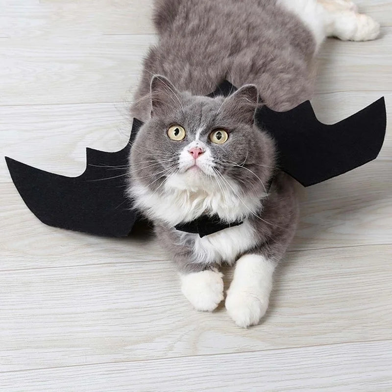 ハロウィンペット服 バットウィングコスチューム｜犬猫用ハーネス型仮装グッズ｜Petopop