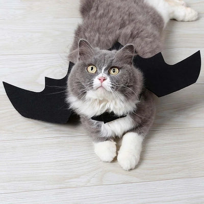 ハロウィンペット服 バットウィングコスチューム｜犬猫用ハーネス型仮装グッズ｜Petopop