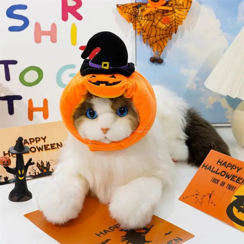 ハロウィンかぼちゃ帽子｜犬猫用コスチューム・ペット仮装｜Petopop