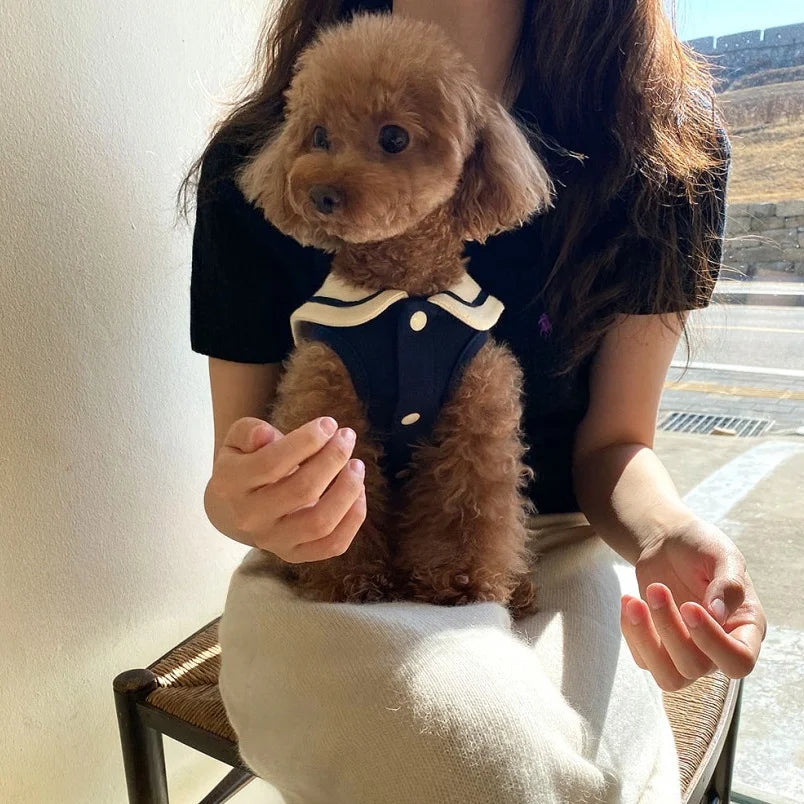 PetoPop 春夏コレクション マリンスタイル・ドッグウェア | 小型犬用 軽量ベスト