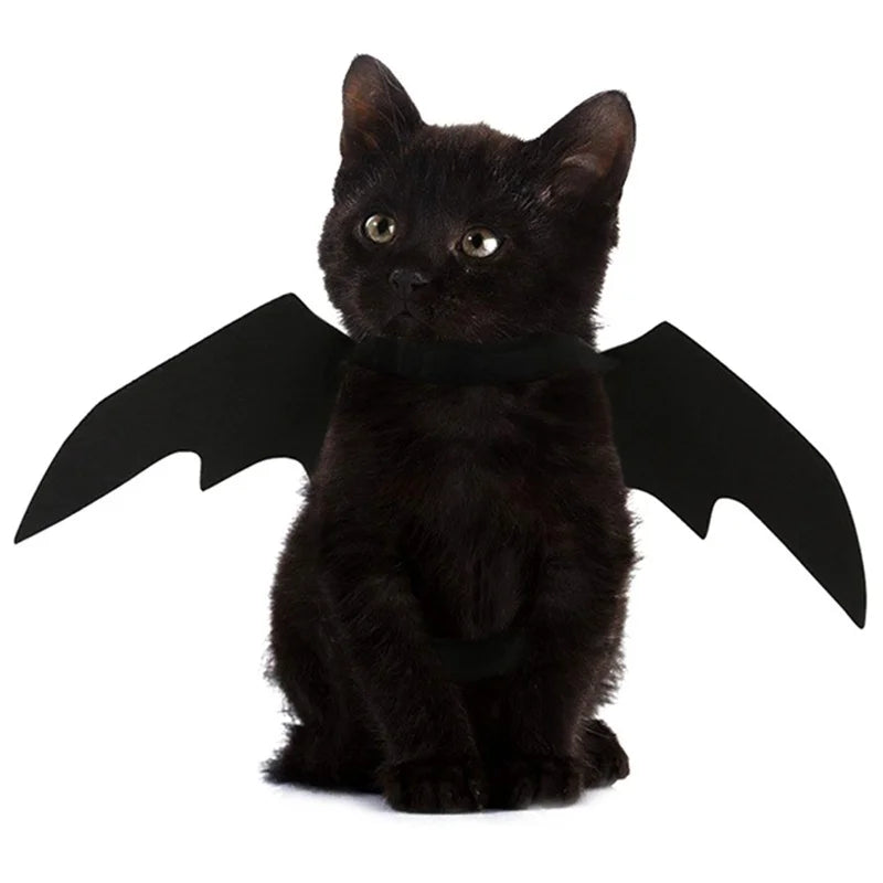 ハロウィンペット服 バットウィングコスチューム｜犬猫用ハーネス型仮装グッズ｜Petopop