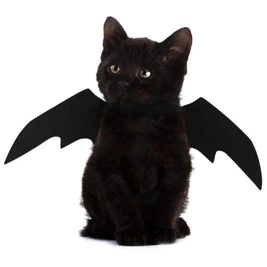 黒色のペット用バットウィングコスチューム、ハーネス型仮装グッズ、ハロウィン用