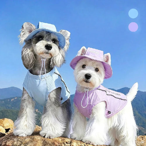 Light blue and purple mesh cooling vests for dogs with attached sun hats, featuring reflective prints and drawstring closures, worn by two small dogs on a rocky outdoor path under a clear blue sky.