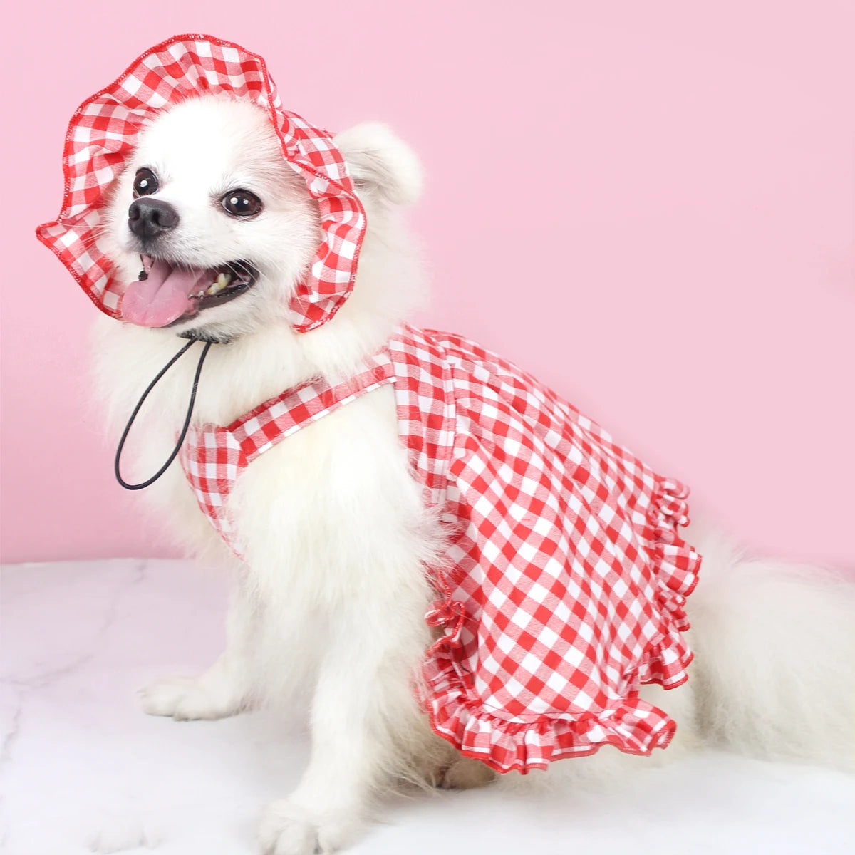 PetoPop クラシック赤チェック柄ペットワンピース・お揃い帽子セット｜犬猫用エステドレス 春夏ウェア