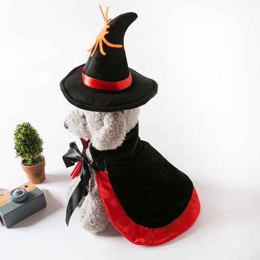 ハロウィンペットコスチューム、犬猫用ウィッチハットとマントのセット、Petopop製、赤いリボンとオレンジ色のクモの装飾が特徴
