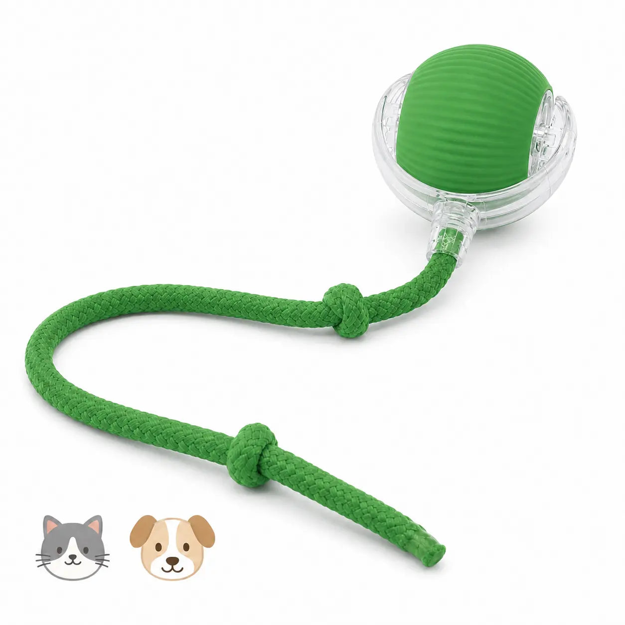 猫犬兼用の緑色USB充電式自動転がりボールおもちゃ