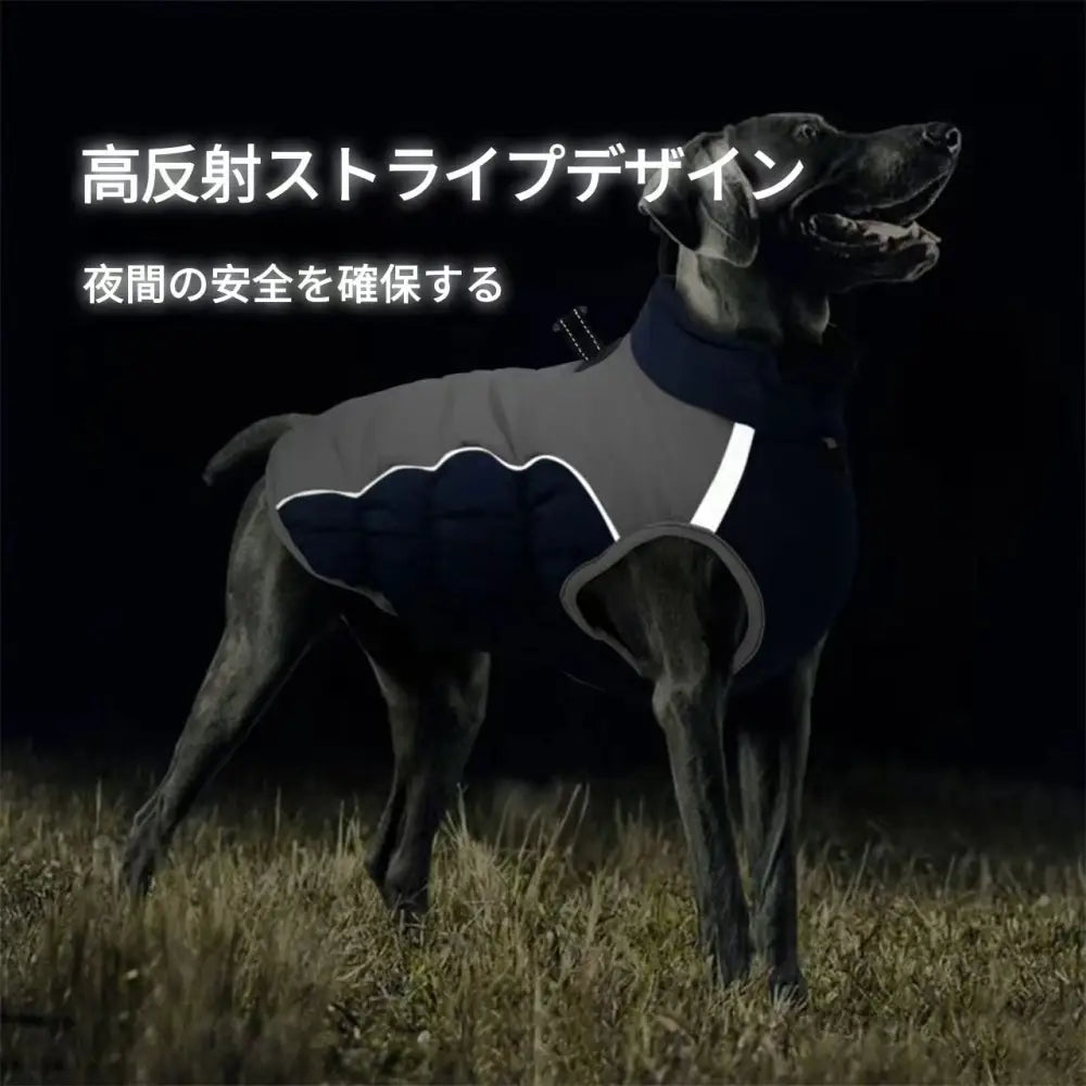 大型犬も暖かく！防水防寒ジャケット（冬用コート）フレンチブル
