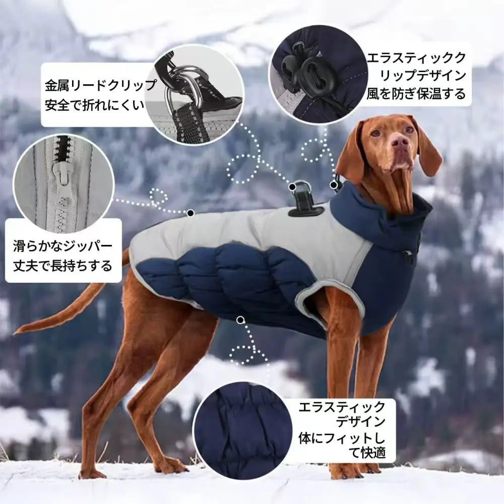 犬用防水防寒ジャケット（冬用コート）by PetoPop、グレーとネイビーの切り替えデザインが特徴