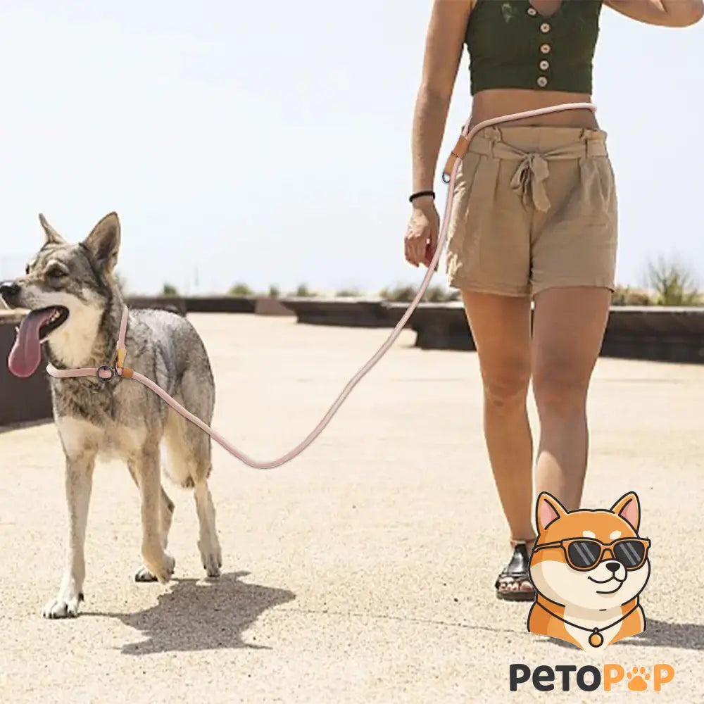 多機能P型ドッグリード ― ハンズフリーで快適なお散歩に
