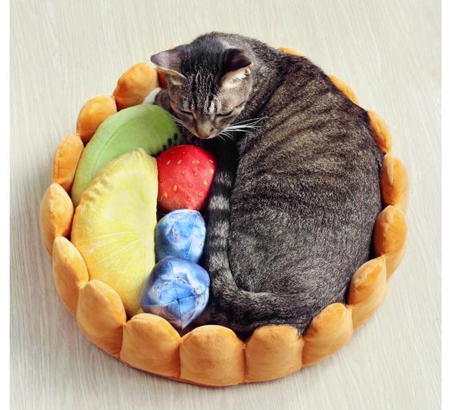 PetoPop Detachable Toast Bread Pet Bed and Plush Orthopedic Cushion