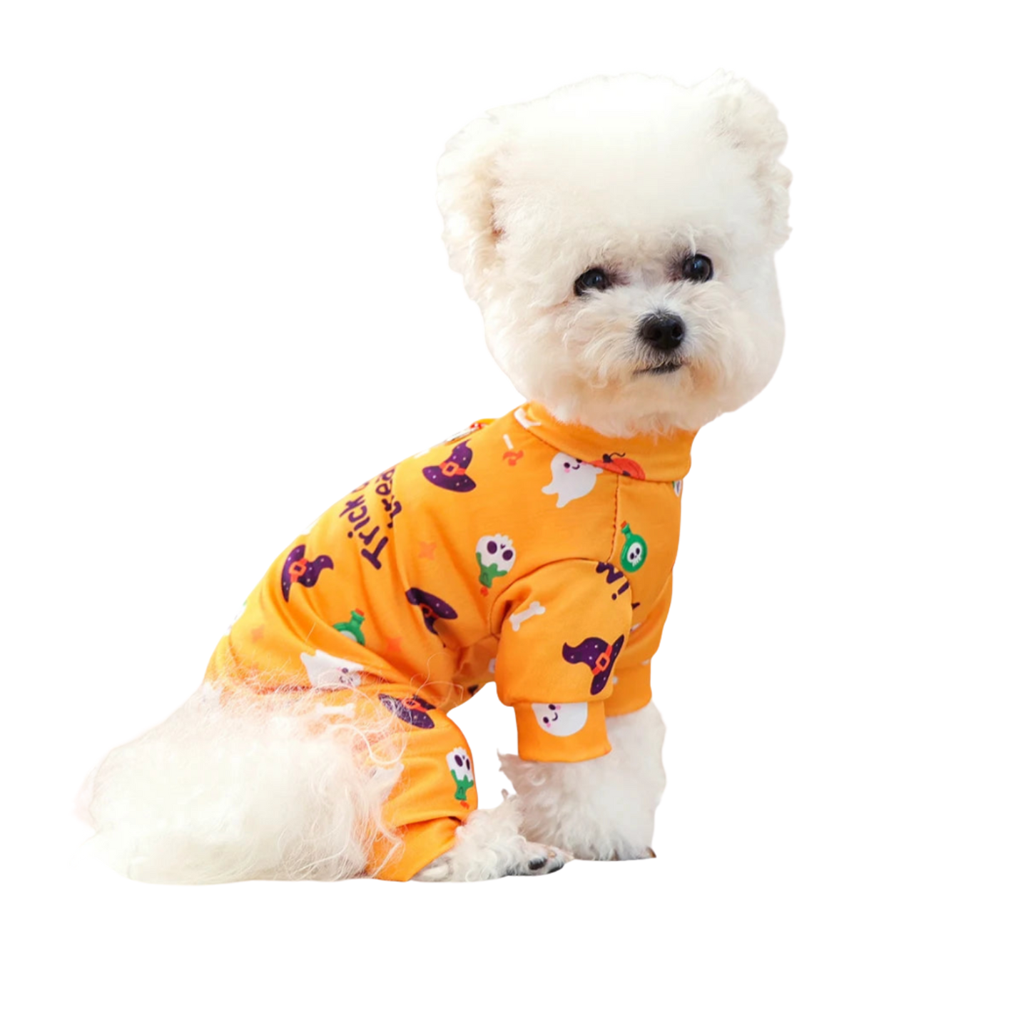 犬用ペット服｜四季通用おしゃれコスチューム｜小型犬・子犬用ハロウィン＆日常ウェア｜Petopop