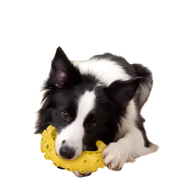 小中型犬用TPRデンタルトイ｜耐久噛むおもちゃ・歯みがき効果付き｜Petopop