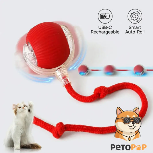赤色のスマートペットボール、petopop.com製、猫が遊ぶ様子と犬のキャラクター付き