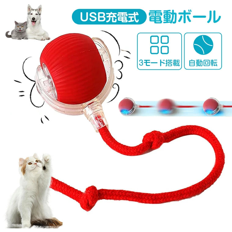 赤色の電動ボール（フェイクテイル付き）by Petopop、猫と犬が近くにいて、ボールの横に赤いロープが付いています。