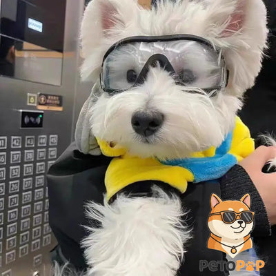 ペット用ドッグゴーグル – 曇り止め・防風防塵 black