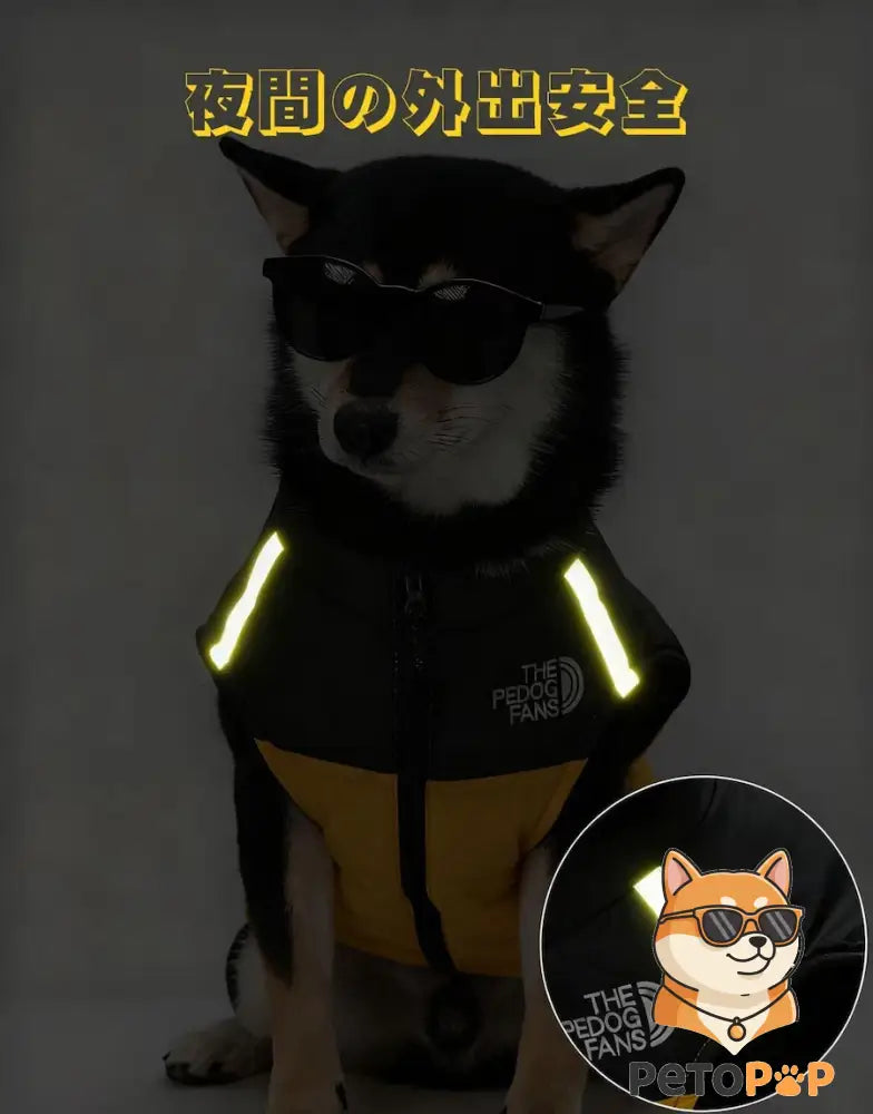 犬用防寒コート｜裏起毛・綿入りジャケット｜小型・中型犬向け冬用アウトドアベスト｜Petopop