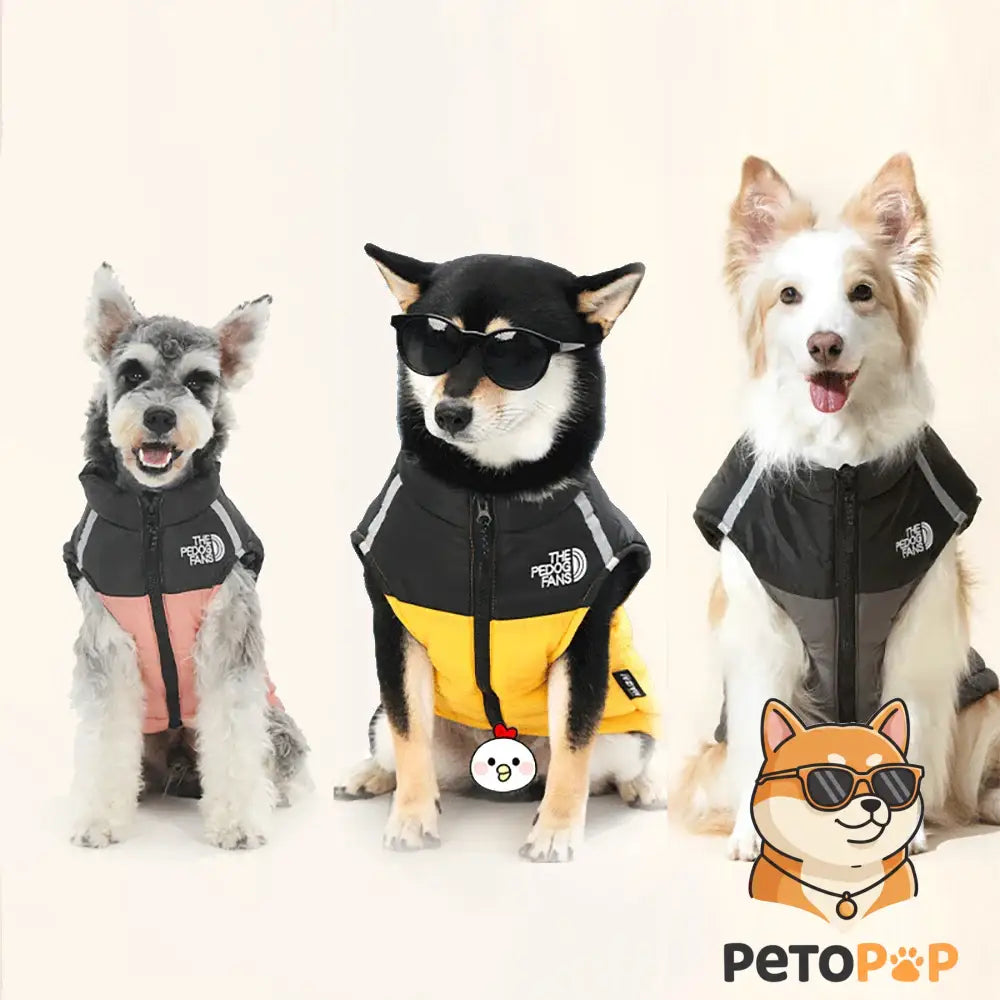 犬用防寒コート｜裏起毛・綿入りジャケット｜小型・中型犬向け冬用アウトドアベスト｜Petopop