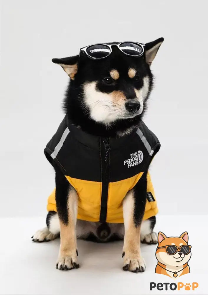 犬用防寒コート｜裏起毛・綿入りジャケット｜小型・中型犬向け冬用アウトドアベスト｜Petopop